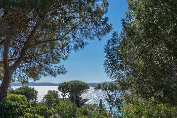 Le Lavandou Var villa picture 4882024