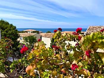 Algajola Haute-Corse house picture 4881552