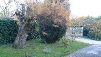 Bergerac Dordogne maison photo 4857822