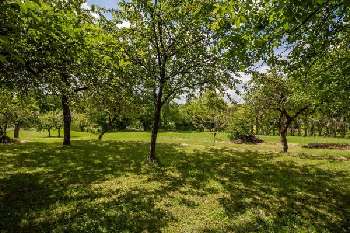 Dosches Aube terrain photo 4958330