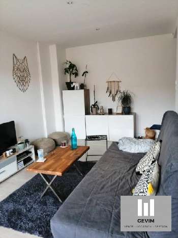 Toulouse 31200 Haute-Garonne appartement photo 4891781