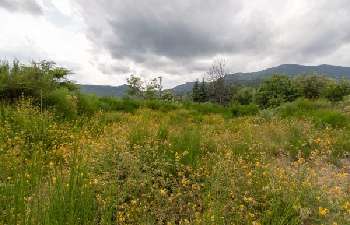 Génolhac Gard terrain picture 4973842
