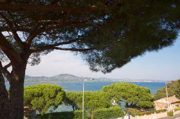 Gassin Var Villa Bild 4975017