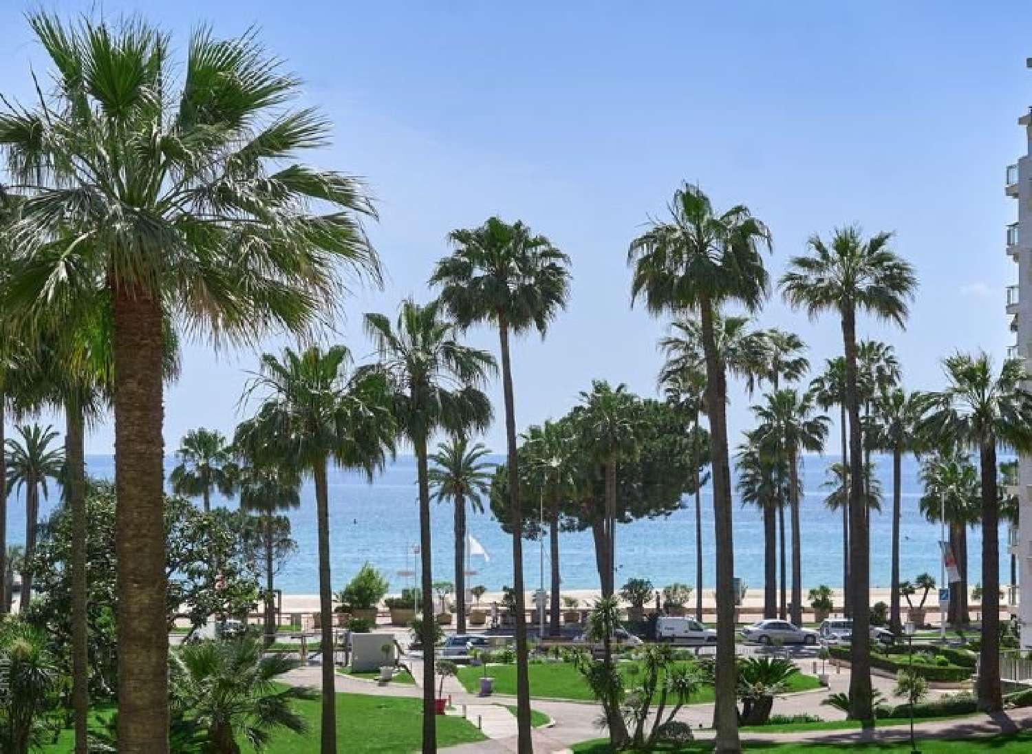 Cannes Alpes-Maritimes maison photo 5066442