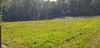 Saint-Nabord Vosges terrain picture 5052270