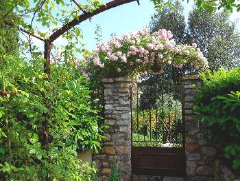 Carcès Var villa picture 5045404
