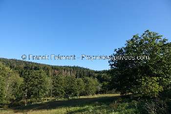 Saint-Nabord Vosges terrain picture 5051702