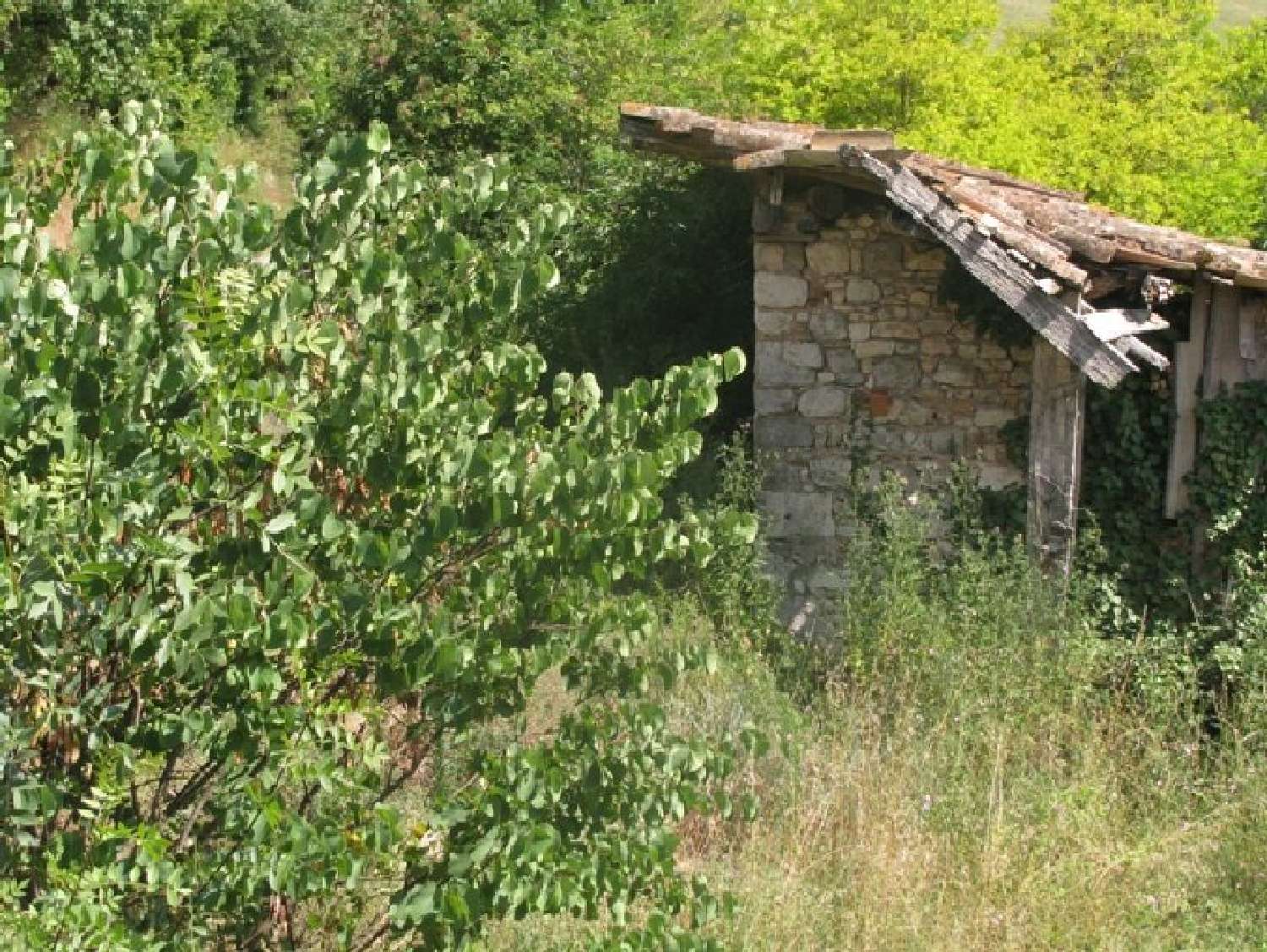huis te koop Tonnac, Tarn (Midi-Pyrénées) foto 3