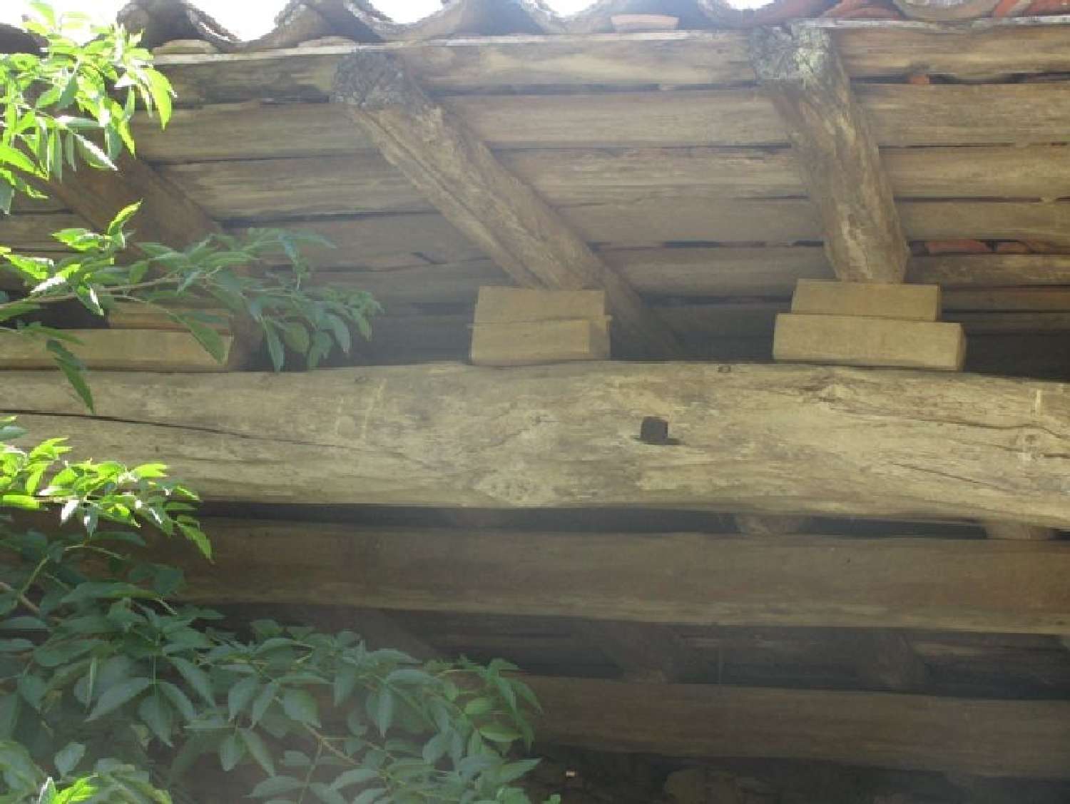 huis te koop Tonnac, Tarn (Midi-Pyrénées) foto 2