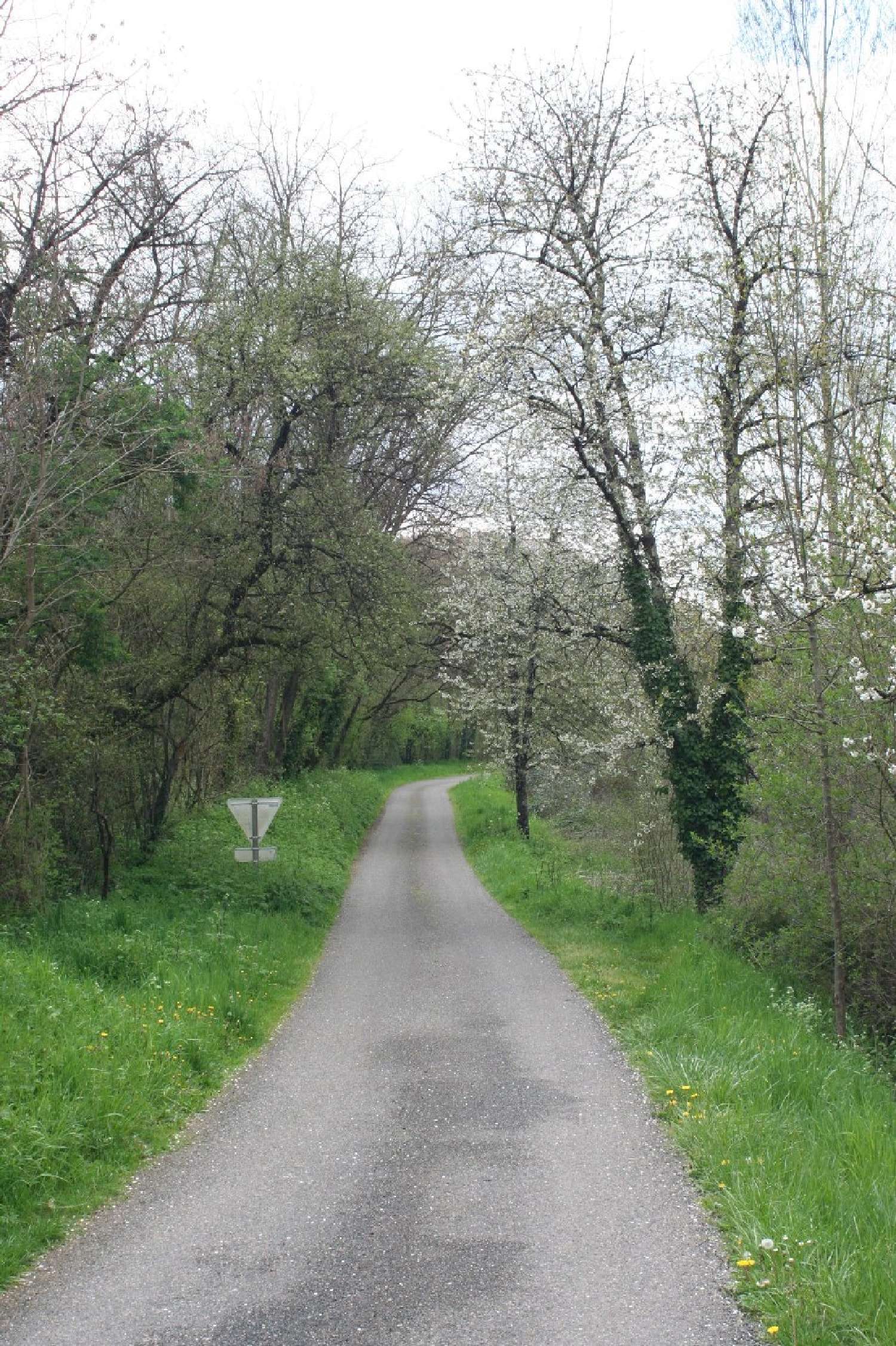huis te koop Saint-Martin-Laguépie, Tarn (Midi-Pyrénées) foto 3