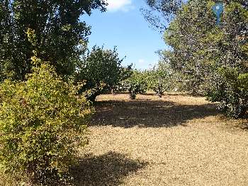 Gordes Vaucluse terrain picture 5127772