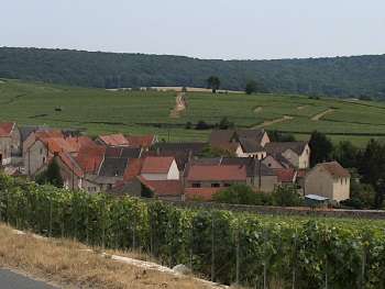 Leuvrigny Marne terrain picture 5112047