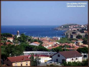 Collioure Pyrénées-Orientales house picture 5126554