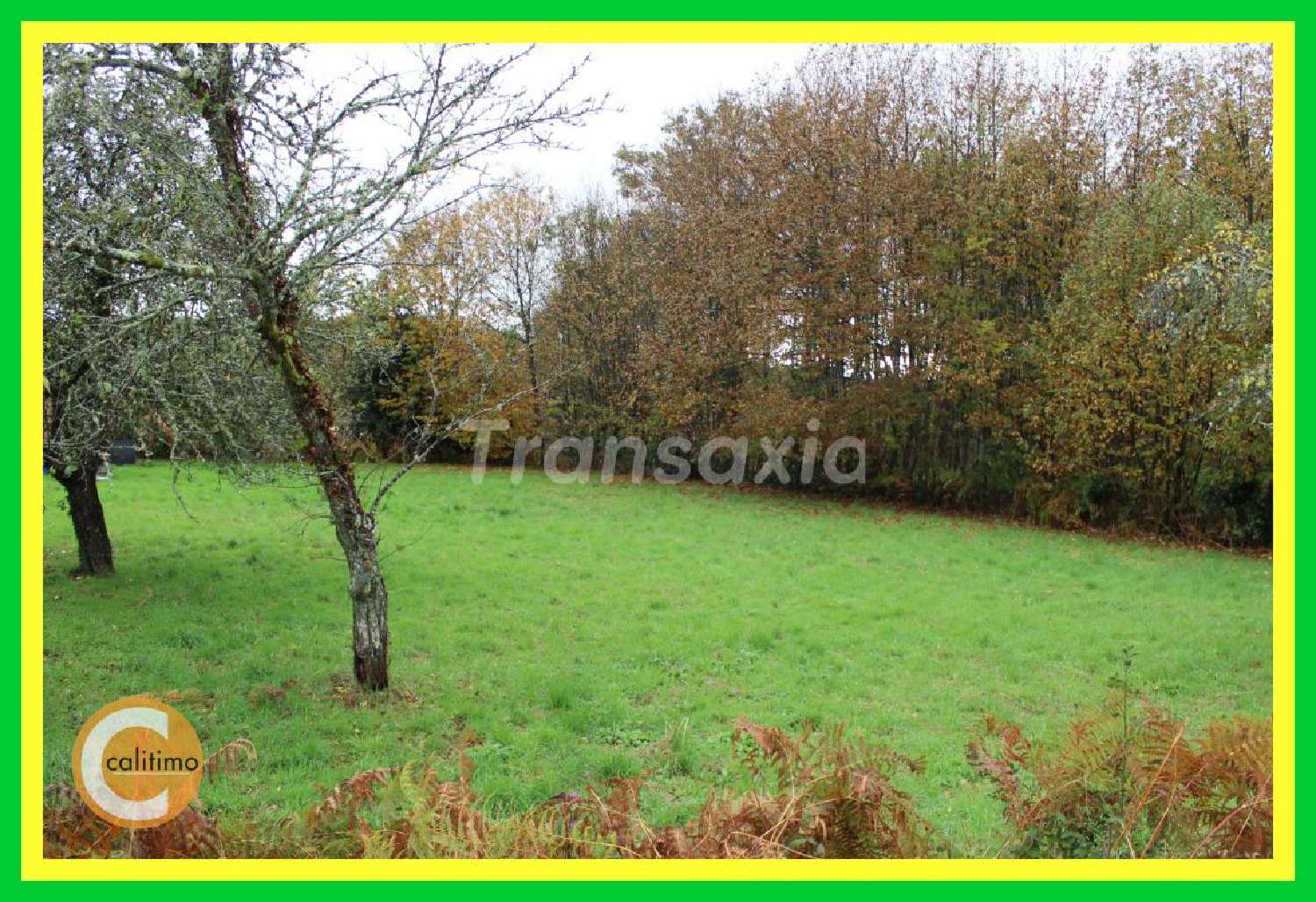 Saint-Vaury Creuse Grundstück Bild 5402629