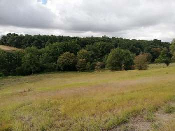 Pechbonnieu Haute-Garonne terrain picture 5399096