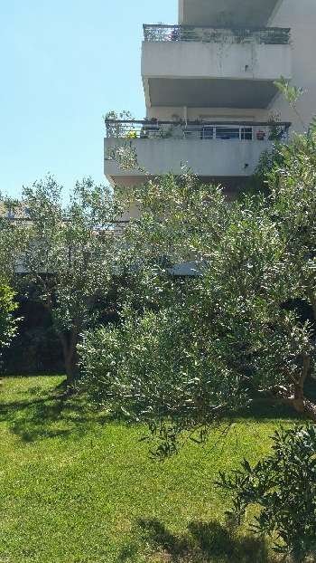 Béziers Hérault Wohnung/ Appartment Bild 5404775