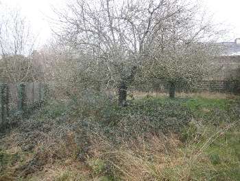 Gourin Morbihan terrain picture 5403852