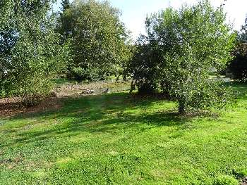 Fauville-en-Caux Seine-Maritime terrain picture 5387598