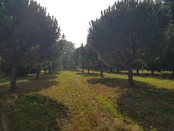 Jouhet Vienne terrain picture 5782532