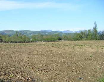 Tarbes Hautes-Pyrénées terrain picture 5781143