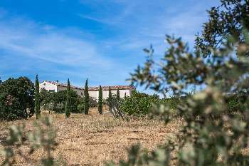 Carcassonne Aude vineyard picture 5826702