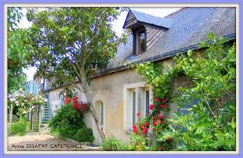 Courdemanche Sarthe farm picture 5450454