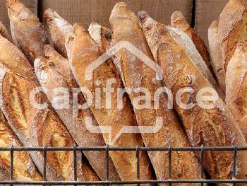 Fontenay-le-Comte Vendée shop picture 5462564