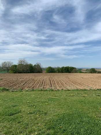 Niederschaeffolsheim Bas-Rhin terrain picture 5472705