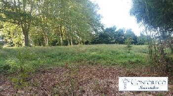 Peyrehorade Landes terrain picture 5468375