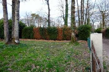 Nargis Loiret terrain picture 5472289