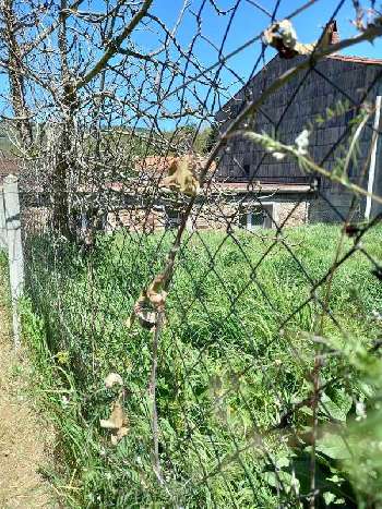 Saint-Amans-Soult Tarn house picture 5578051