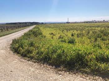 Foussignac Charente terrain picture 5545638
