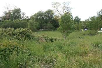 Anzeling Moselle house picture 5551735