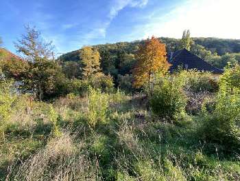 Barr Bas-Rhin terrain picture 5556499