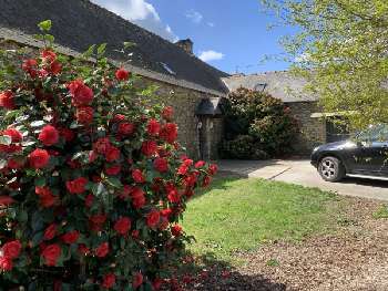 Redon Ille-et-Vilaine house picture 5552620