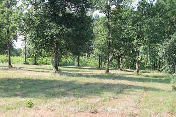 Cachen Landes terrain picture 5555725