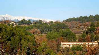 Carpentras Vaucluse house picture 5655618