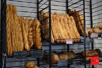 Laval Mayenne commercial picture 5667857