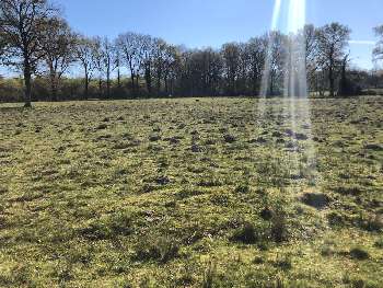 Nouic Haute-Vienne terrain picture 5683948