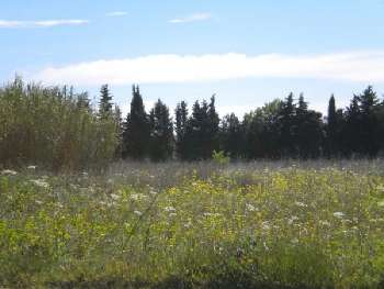 Vauvert Gard terrain picture 5656933