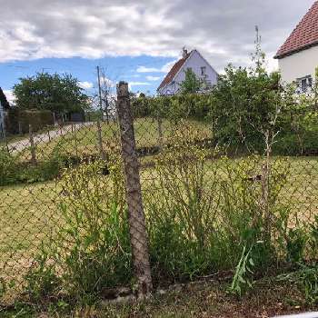 Mietesheim Bas-Rhin terrain picture 5655309