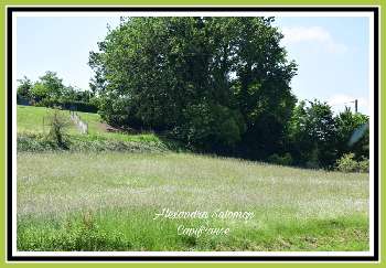 Miramont-de-Guyenne Lot-et-Garonne terrain picture 5764906