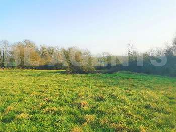 Rebais Seine-et-Marne terrain picture 6236576