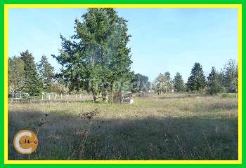 Lamotte-Beuvron Loir-et-Cher terrain picture 6018904