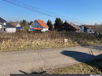 Holving Moselle terrain picture 6186473