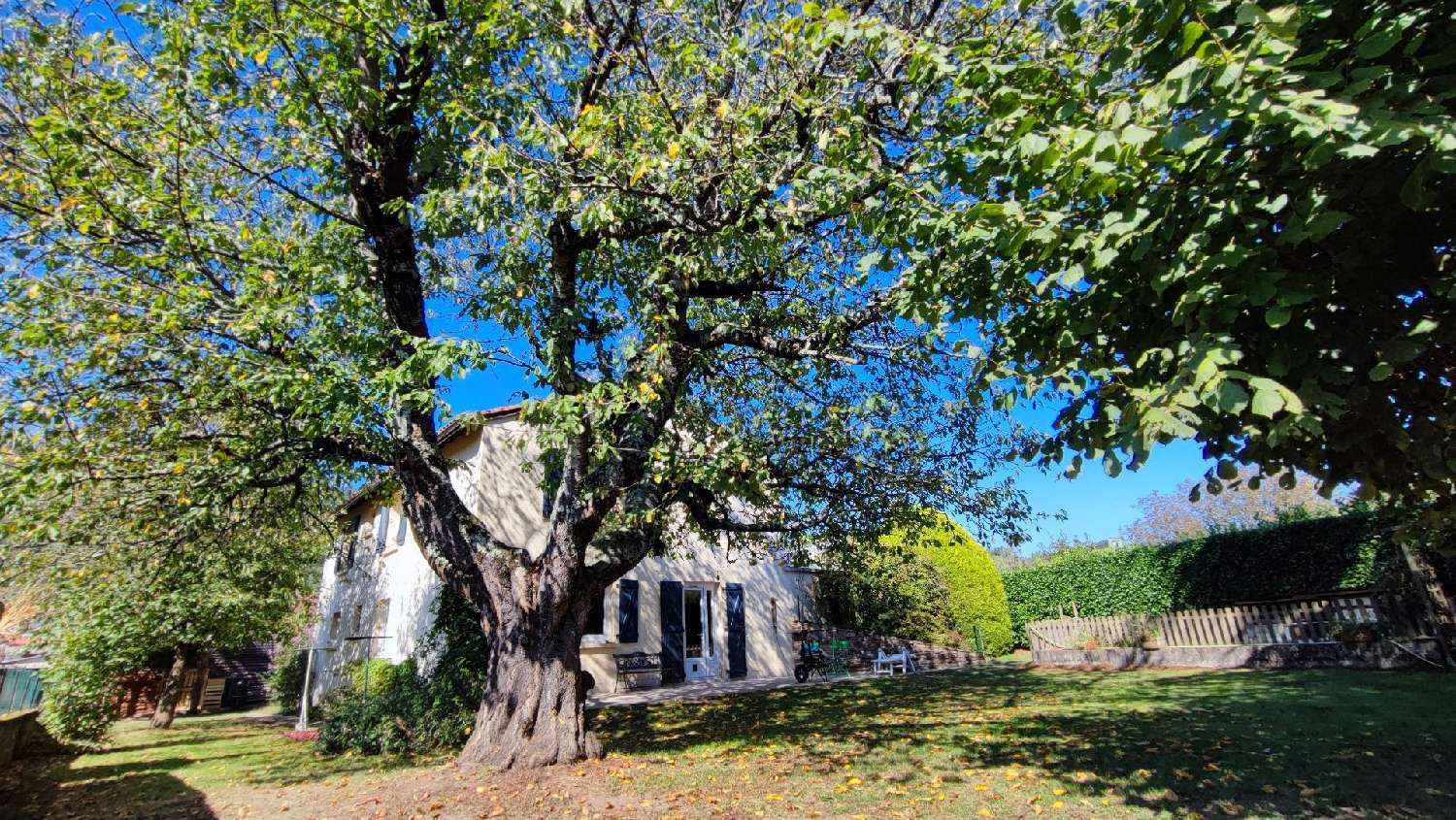 Livinhac-le-Haut Aveyron Dorfhaus Bild 6668783