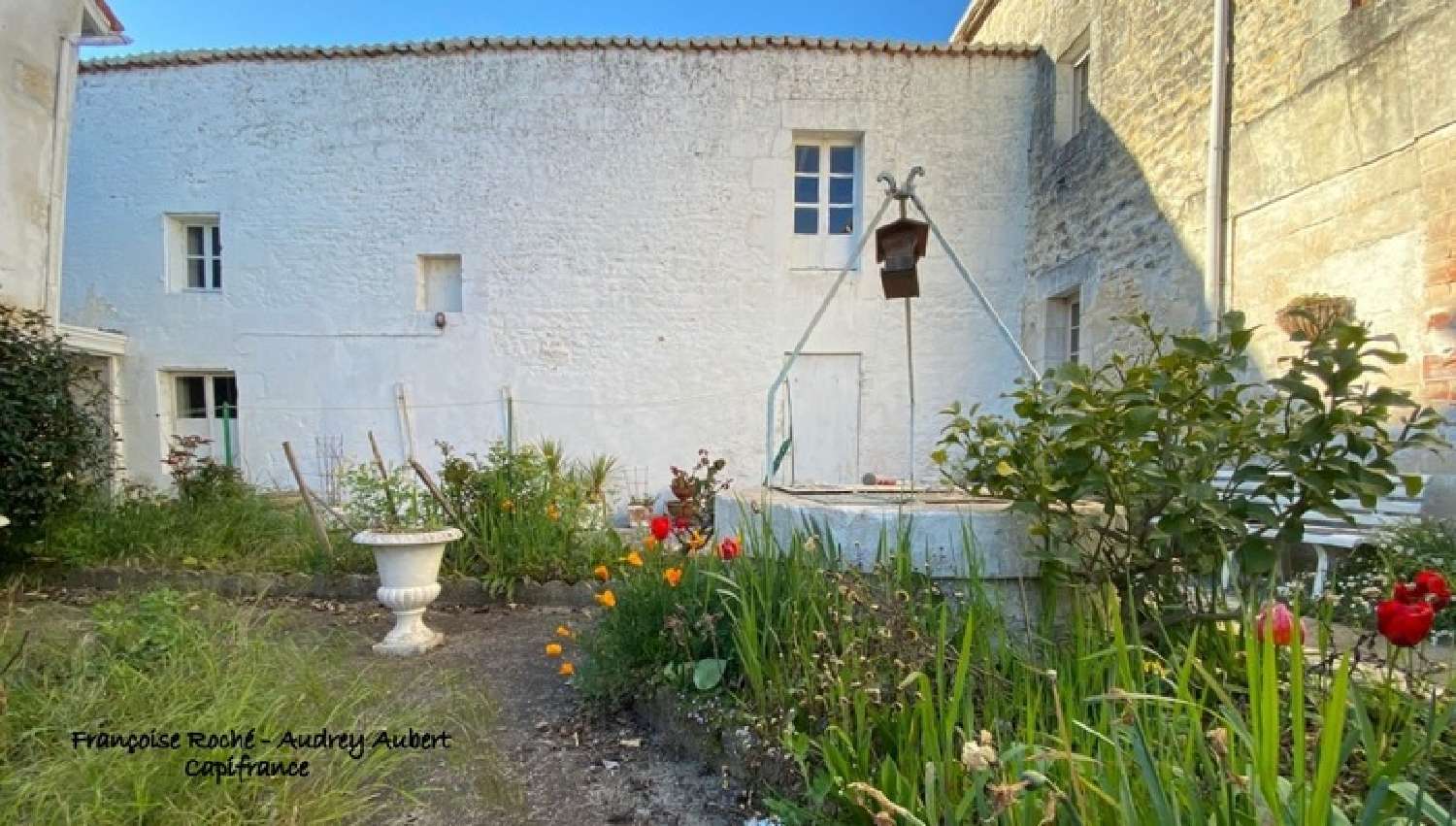  à vendre maison de village Taillebourg Charente-Maritime 5
