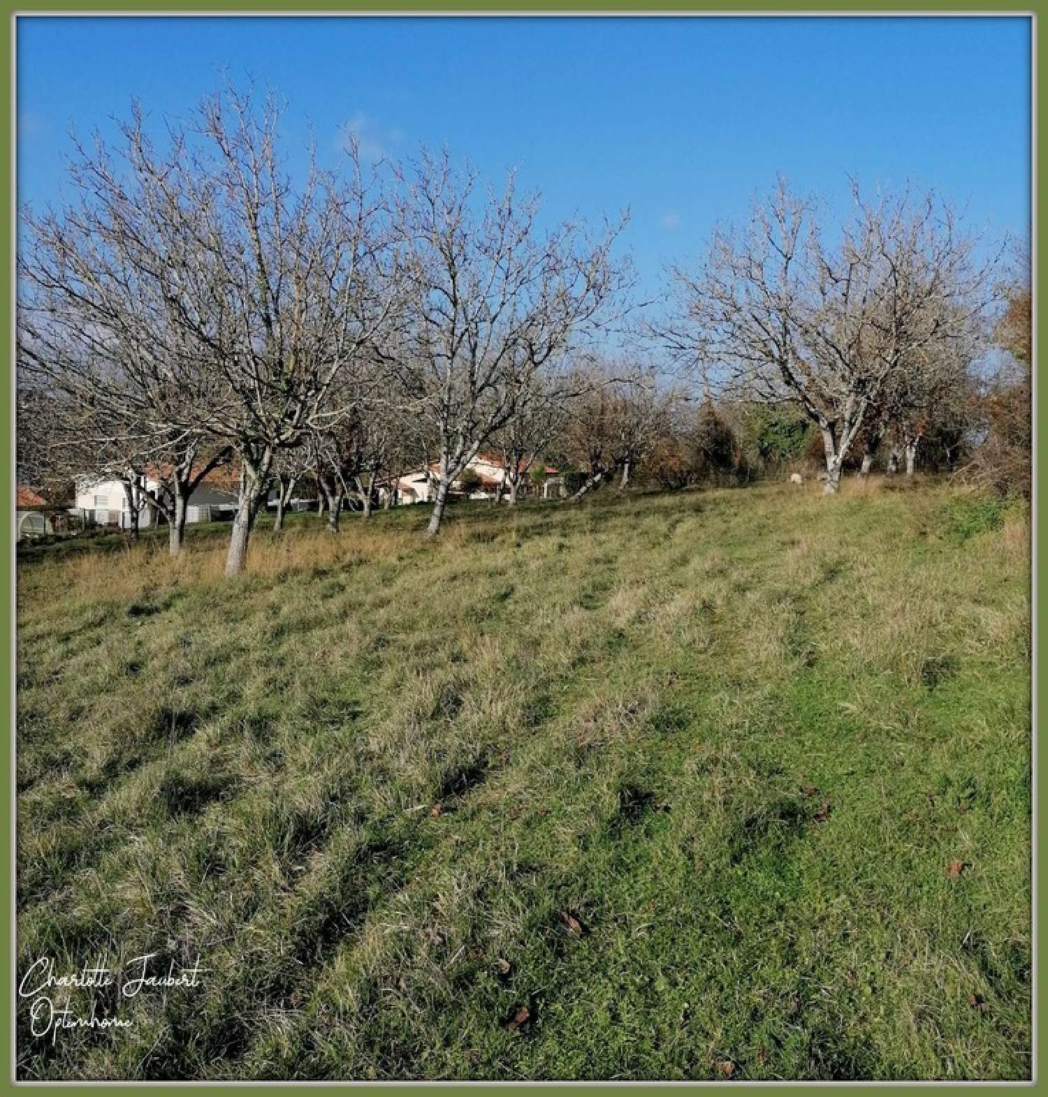 Courlac Charente terrain foto 6668719