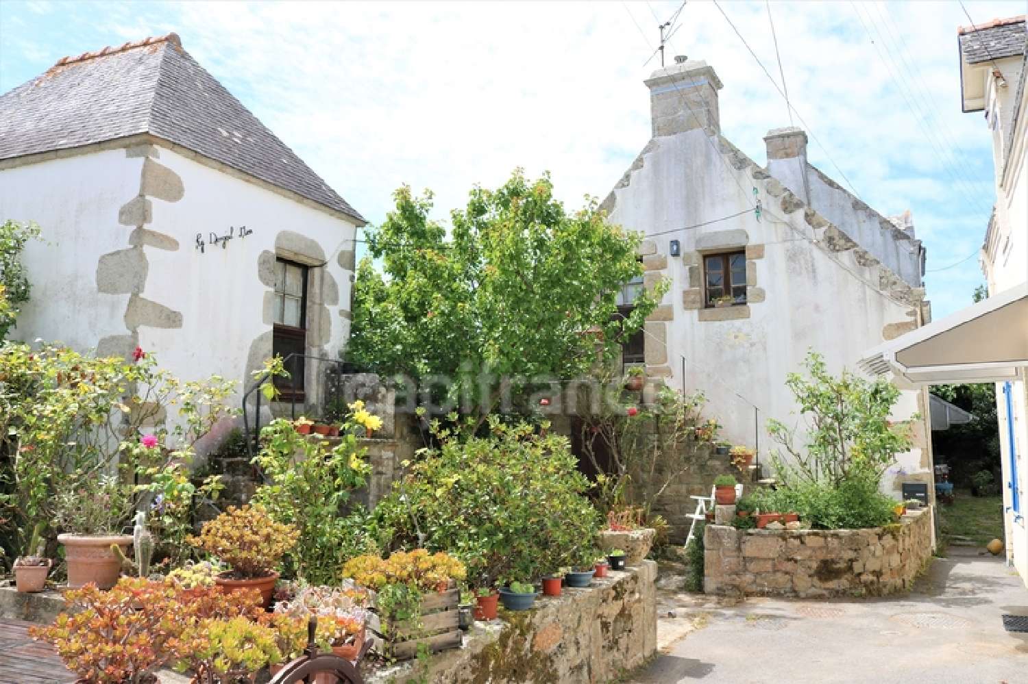  à vendre maison Saint-Pierre-Quiberon Morbihan 1