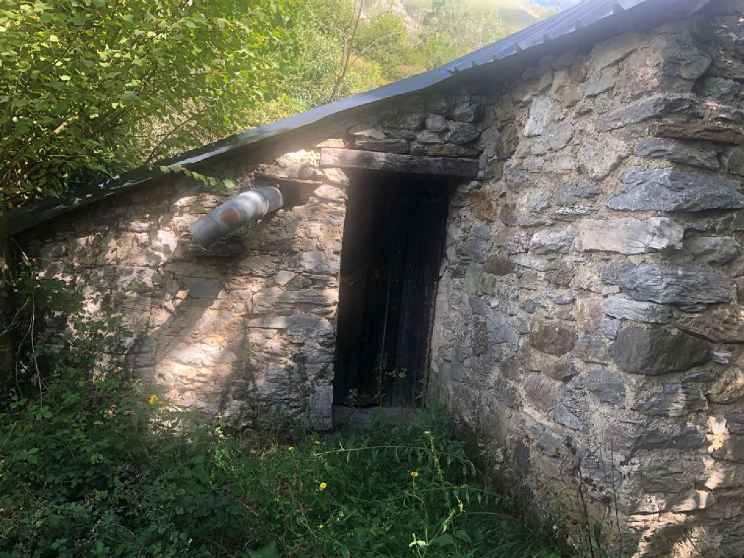  te koop huis Aste-Béon Pyrénées-Atlantiques 3